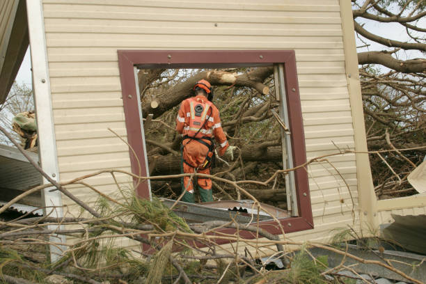 How Our Tree Care Process Works  in  White Oak, PA